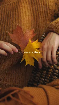 Autumn Vibes