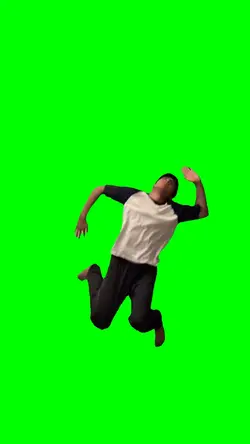 DO THE FLOP MEME