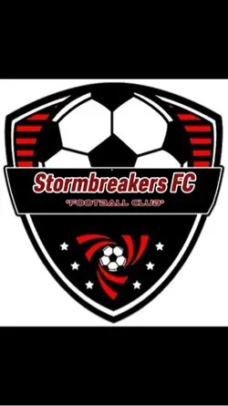 Logo bola