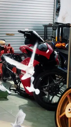 KEKASIH TAK DIANGGAP