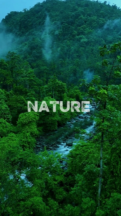 nature 4 clip