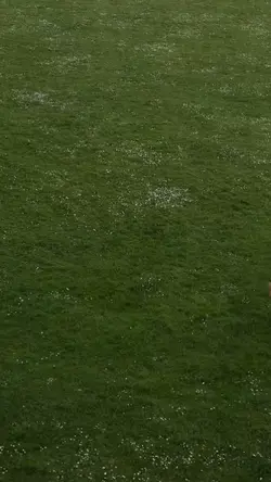 Aşkımız Olay Olacak