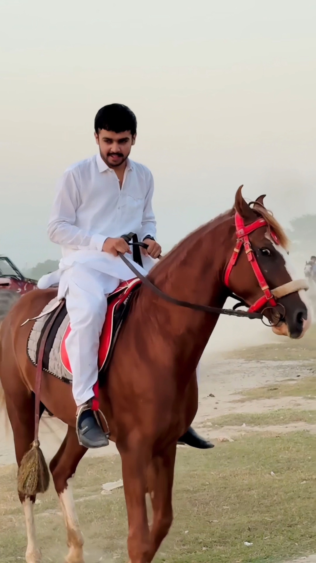 Horse Lover 🐎😎