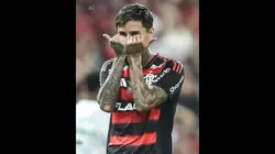 ERICK PULGAR