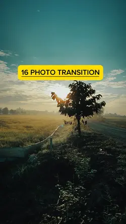 16 PHOTO TRANSITION
