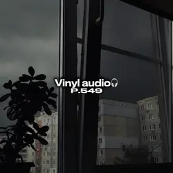 Vinyl audio p.551🎧