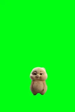 Dog dancing 