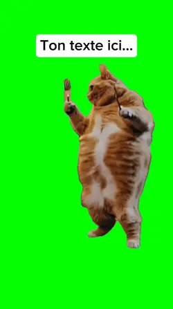 Hungry dancing cat
