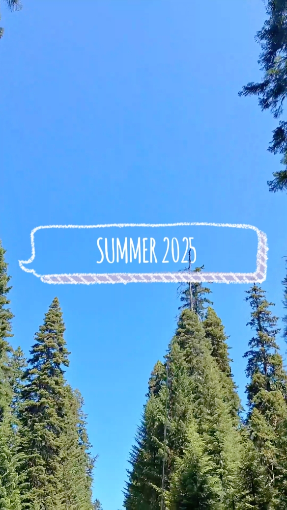 Sommer 2025