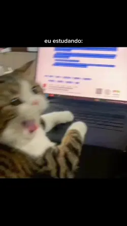 eu estudando