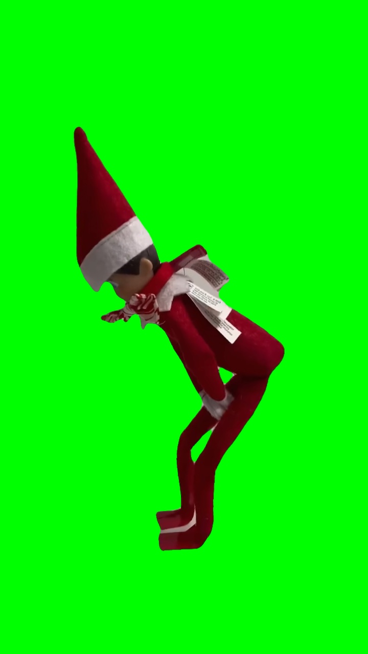 ELF GOT SHELF