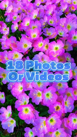 18 Photo Slides