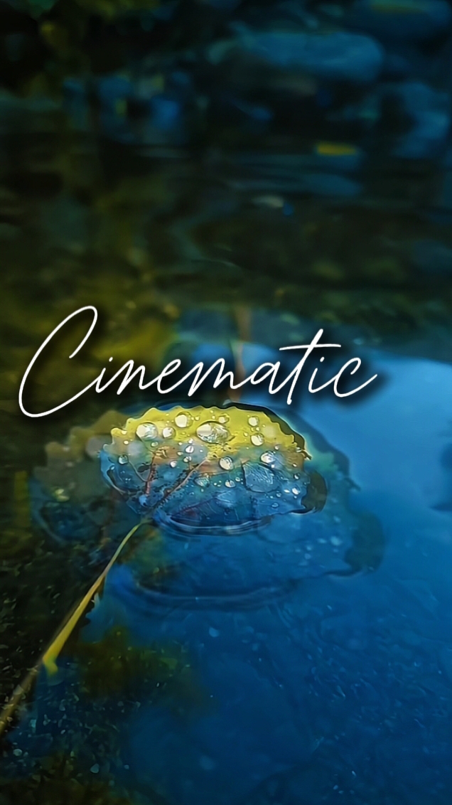 cinématique 