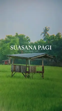 cinematic sawah 