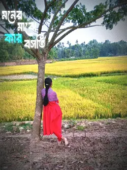 মনের মাঝে কার বসতি 