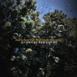 큰 꿈을 가져 🍀