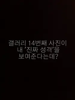 갤러리14번째 사진이 내 진짜성격이래