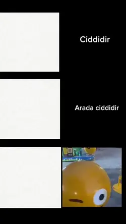 Ciddiyet önemli aga