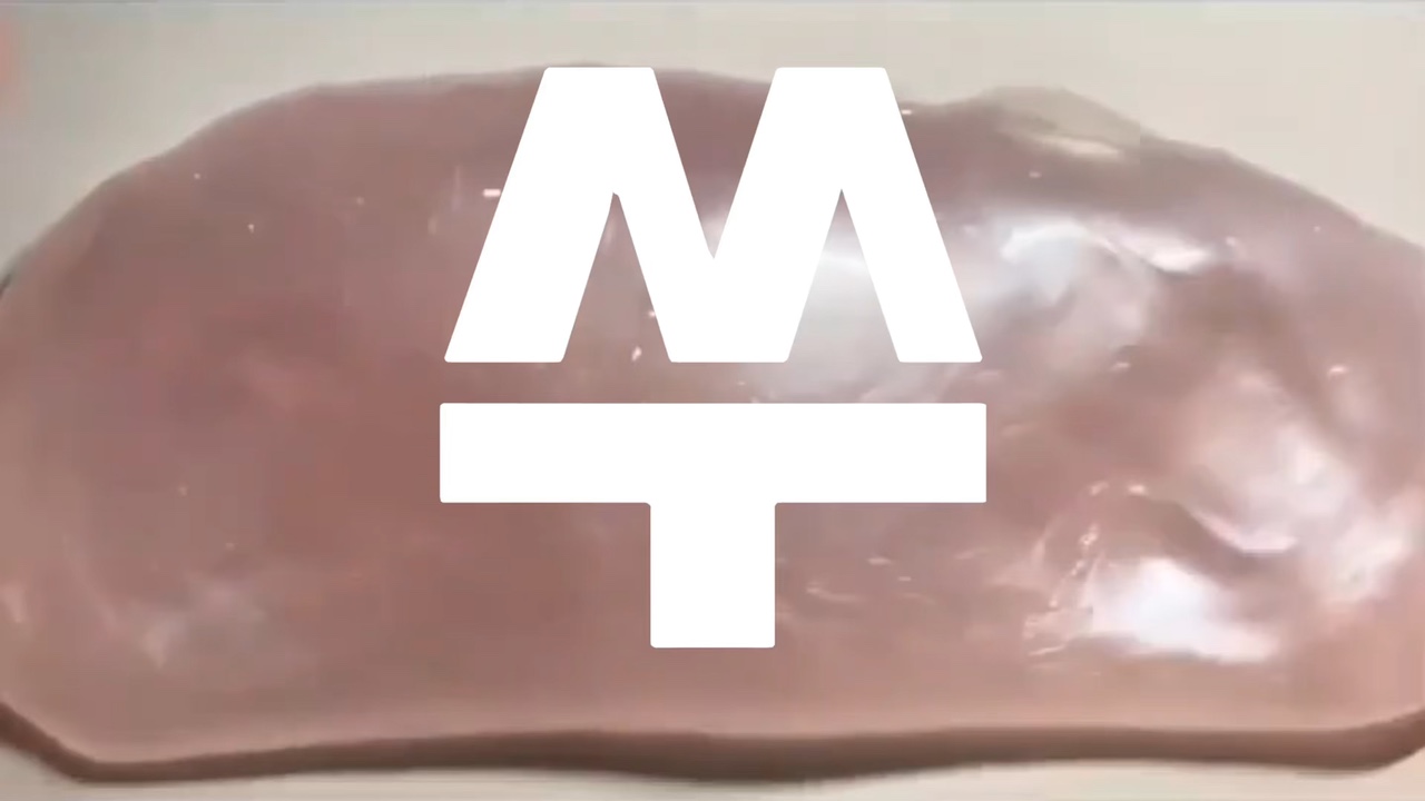 쑤빵이의 오프닝/공지