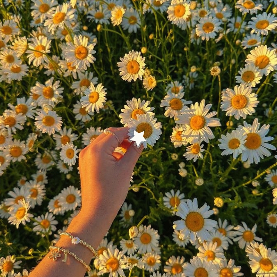 O tema é primavera