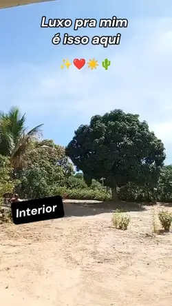 coisas do interior 