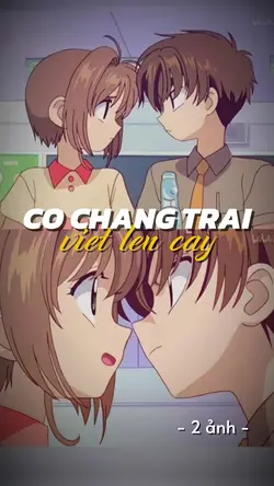 CCTVLC