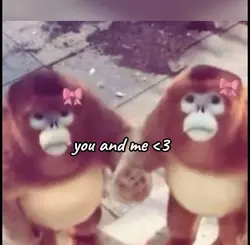 you and me core