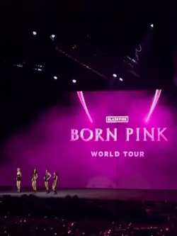 Blackpink Concert ❤️