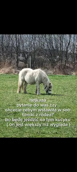 plan na śr i pt
