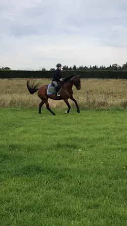 Sweet Brown Sugar😛