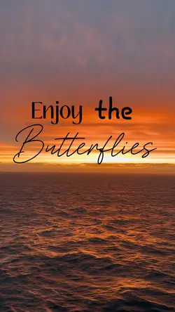 Daniel Ricciardo 🦋