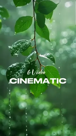 Cinematic 6 video
