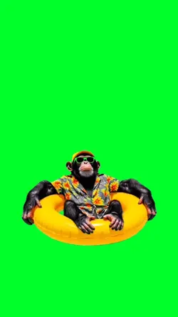 Monkey on vacation