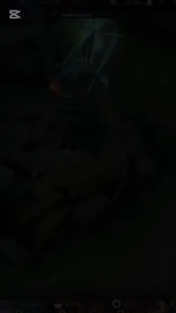 gameplay x foto rand