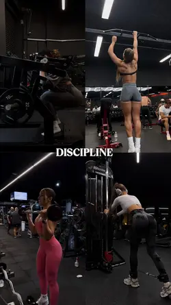 DISCIPLINE 