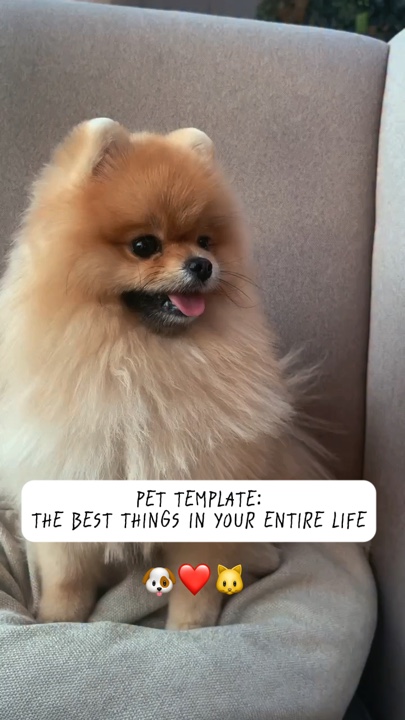 Best thing in life
