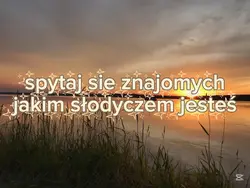 Zapytaj sie znaj