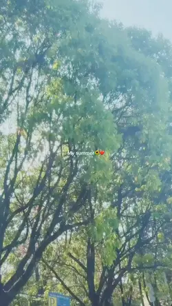 📸10 my summer