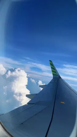 Flight Story