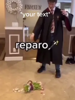 RePaRo🪄