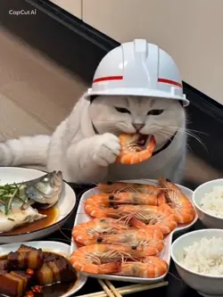 ご飯食べるのにまでヘルメットかよ