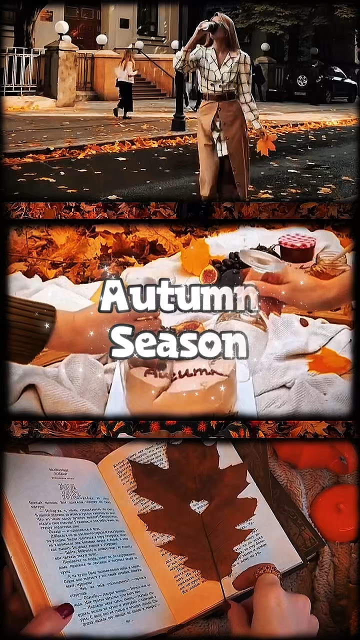 Autumn season 