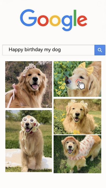 Anniversaire mon chien 🫶