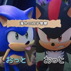 海外映画の双子警察