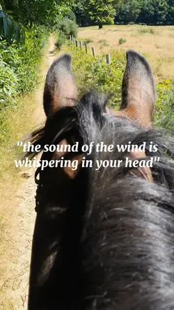 sound of the wind