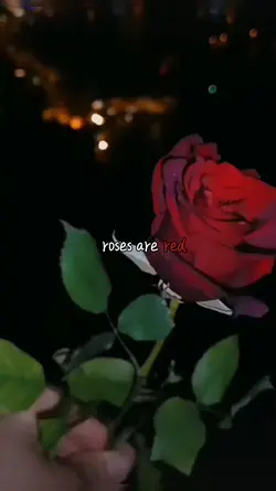 roses are red 