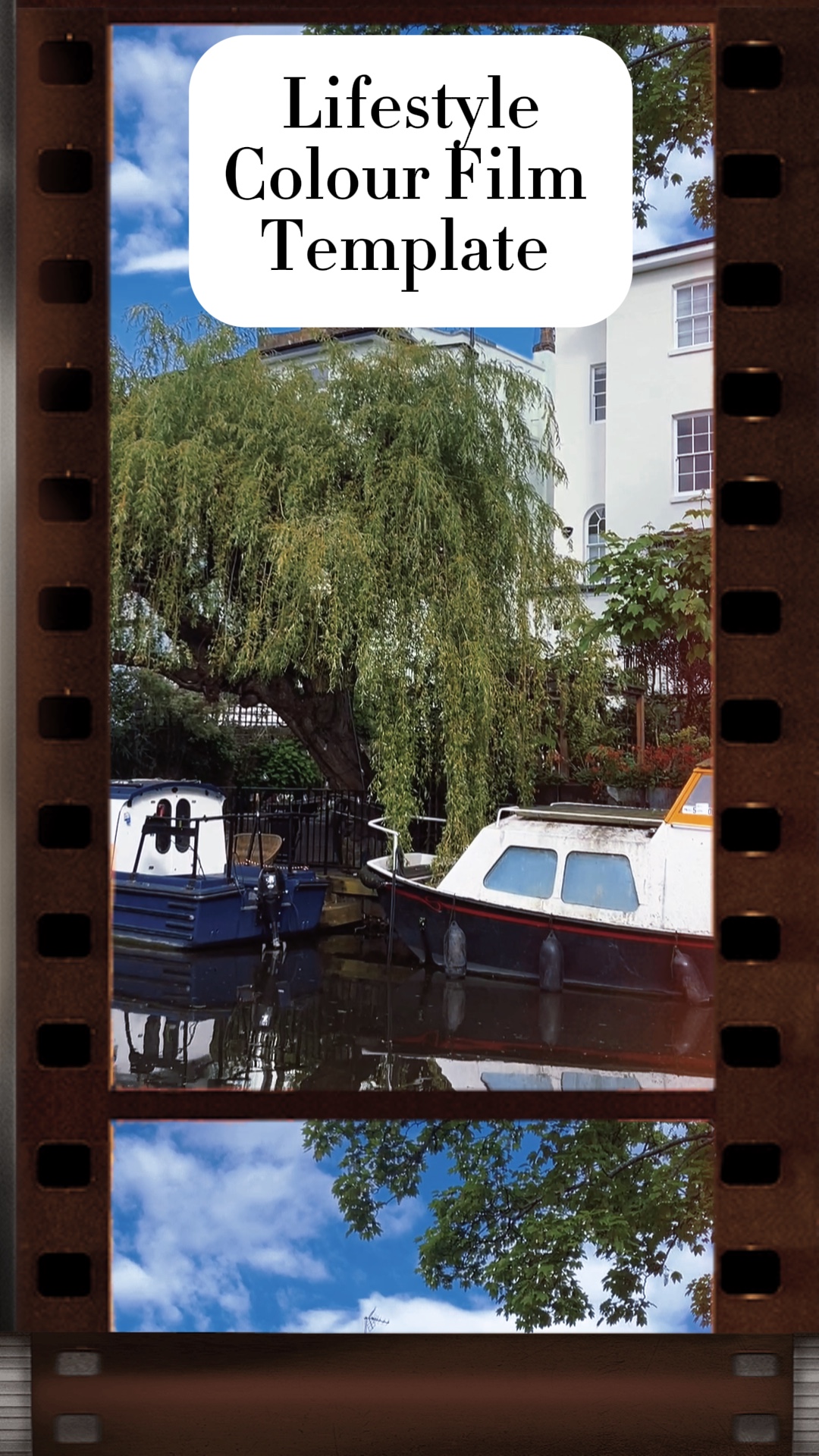 Basic film video