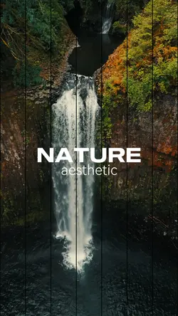 Nature aesthetic