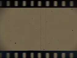 roll film