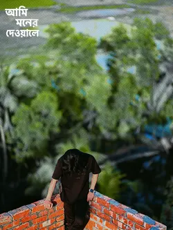  আমি মনের দেওয়ালে 💗✨